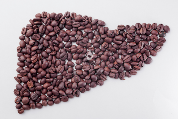 Ngăn ngừa ung thư gan khi sử dụng cà phê của Laven Coffee